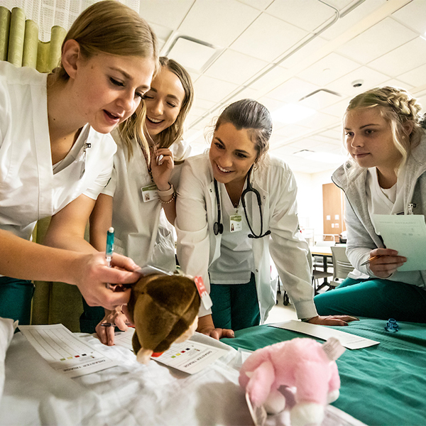 Image of nursing students diagnosing stuffed animals