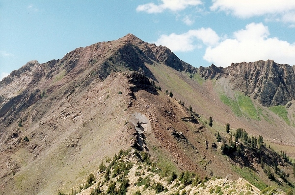 Mount superior