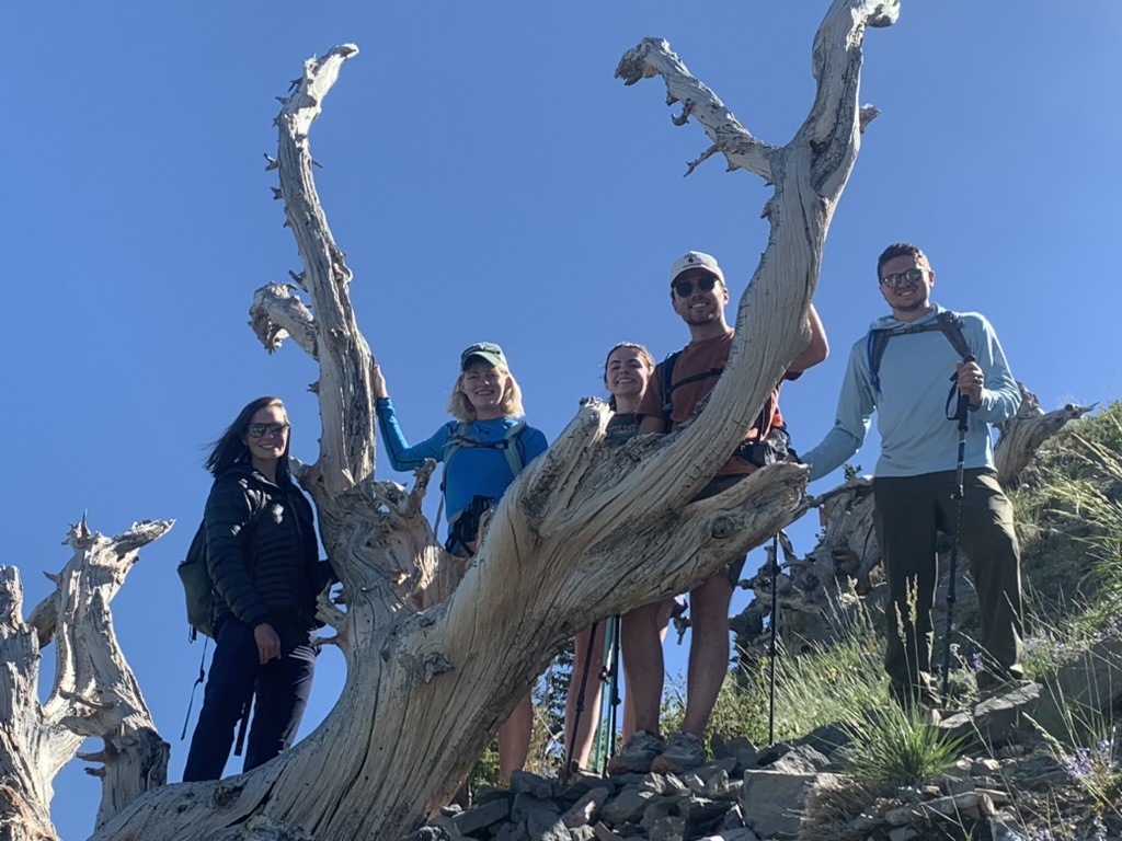 Provo Peak