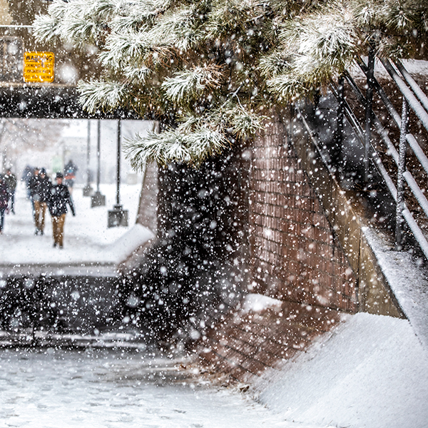 Snow fall on campus