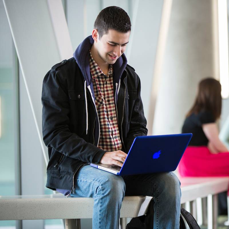 Image of a person looking at their laptop