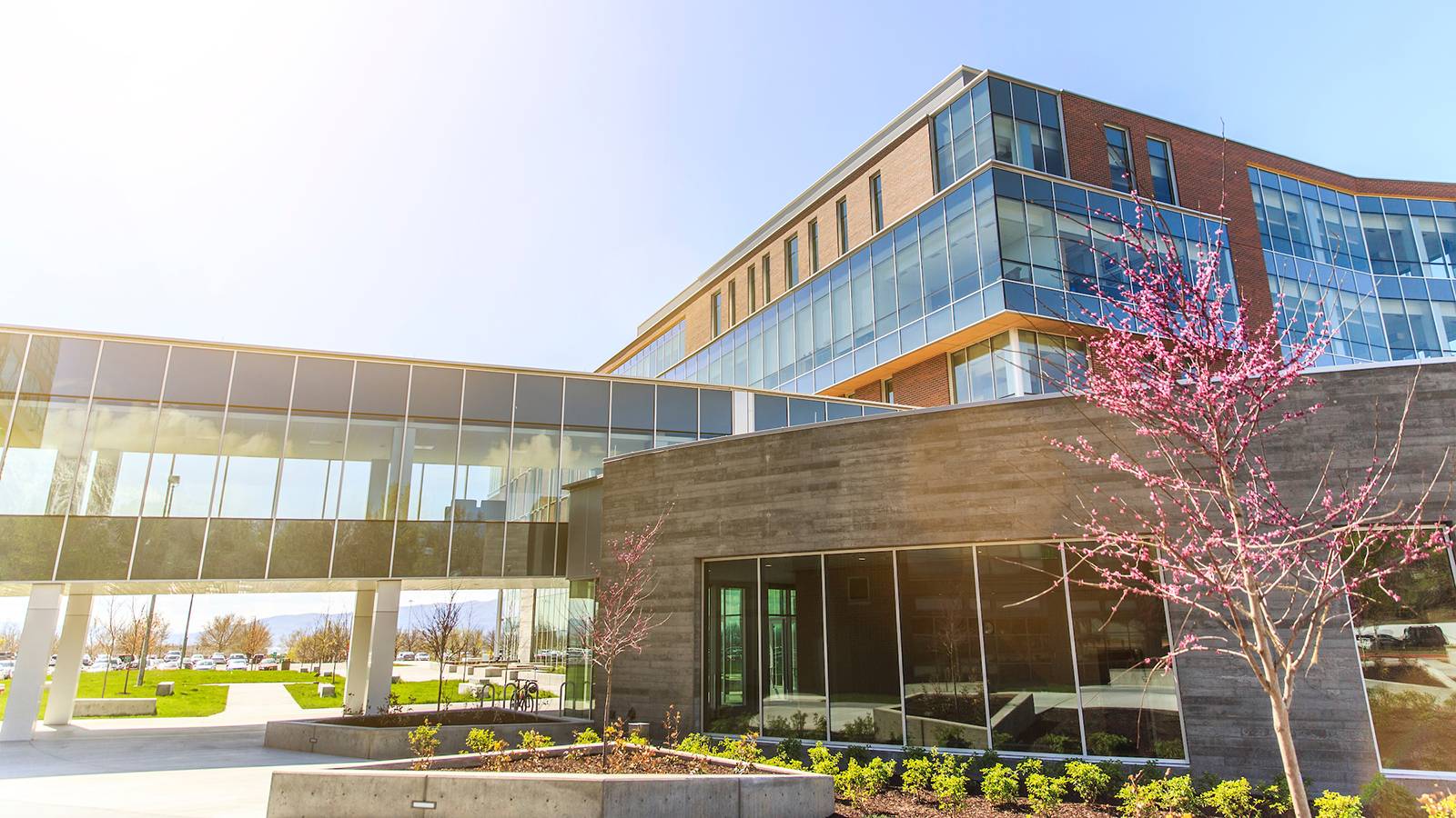 Clarke Building exterior in spring.