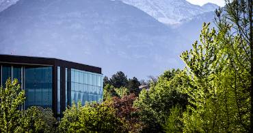 Trees on UVU Campus