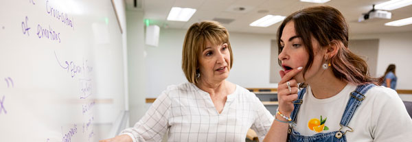 An instructor explains a concept to a student standing a whiteboard.
