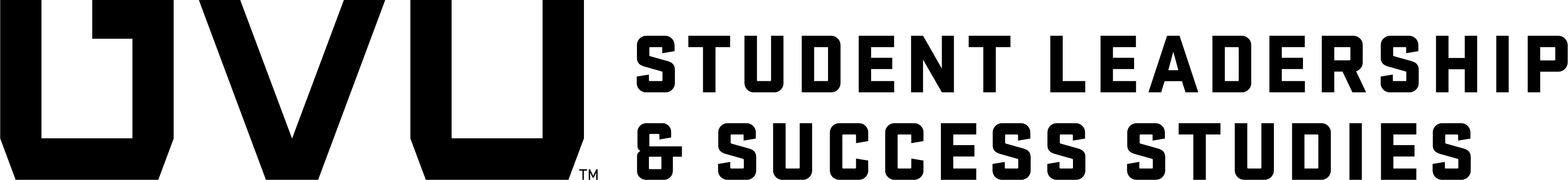 Student Leadership and Success Studies Image as a Partner