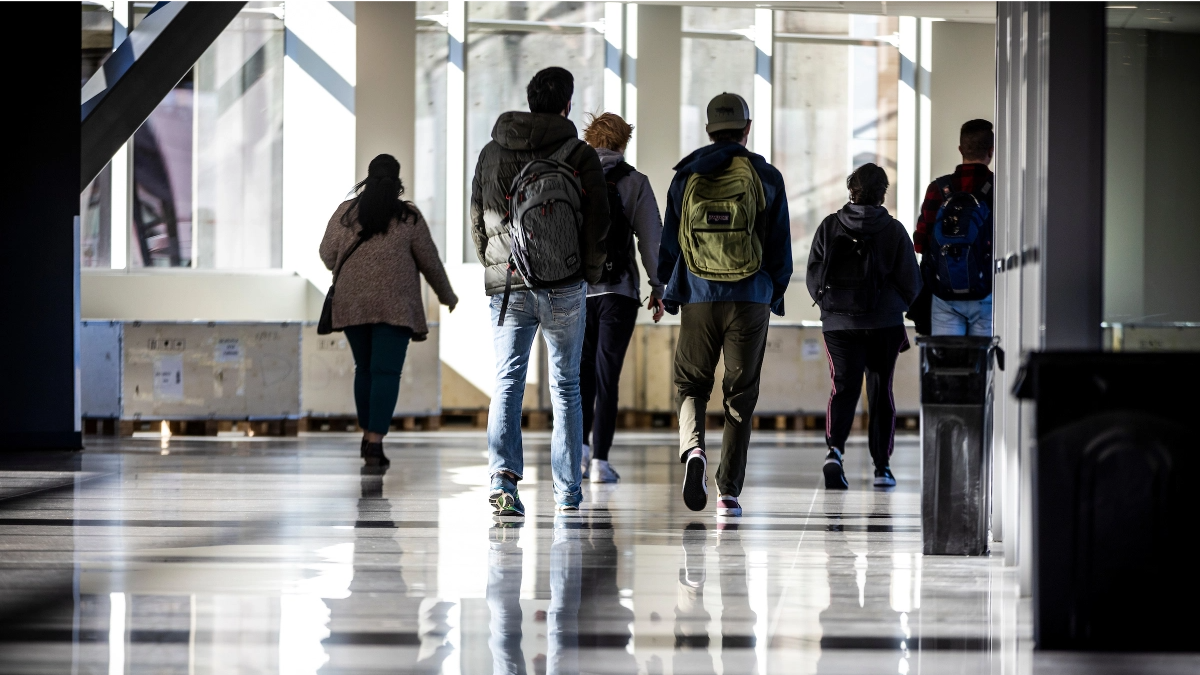 Group of students walking, photographed from behind.