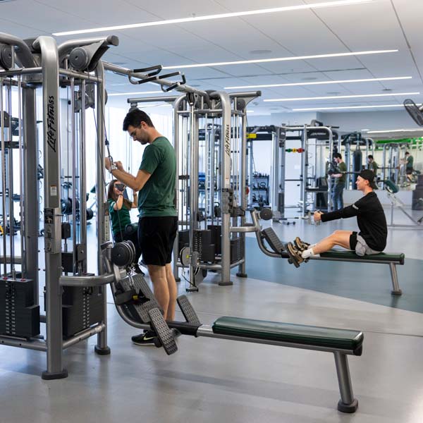 A variety of students using cable equipment to exercise.