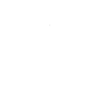 White Gift Icon