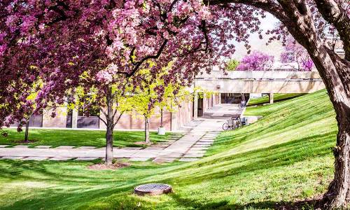 campus in the spring