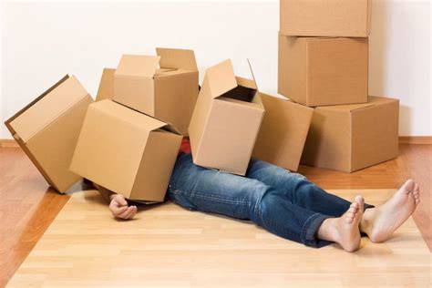 person lying on floor covered in moving boxes