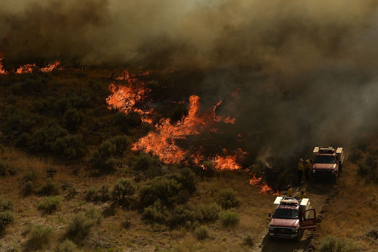 Wild fire with two fire trucks