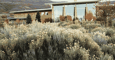 Wasatch Campus building with a lot of flora in front of the building.