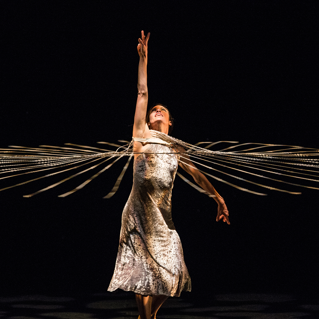 Momix