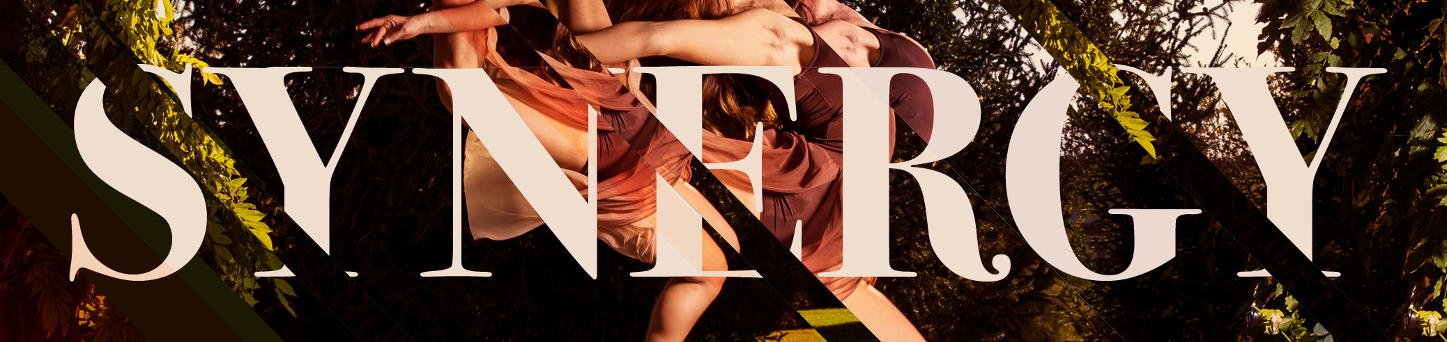 UVU Chamber Orchestra Fall Concert - Title Image