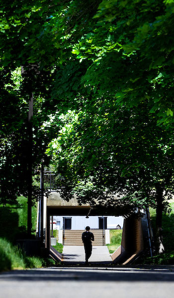 A person walking down a concrete path with trees on each side covering the walkway.