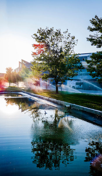 An image of trees reflecting in the reflection pools in front of the main UVU campus, with sunlight coming through the trees.