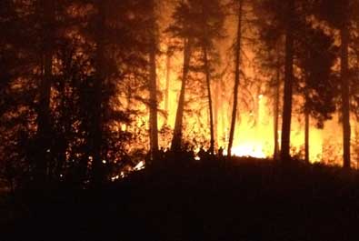 Raging Forest Fire