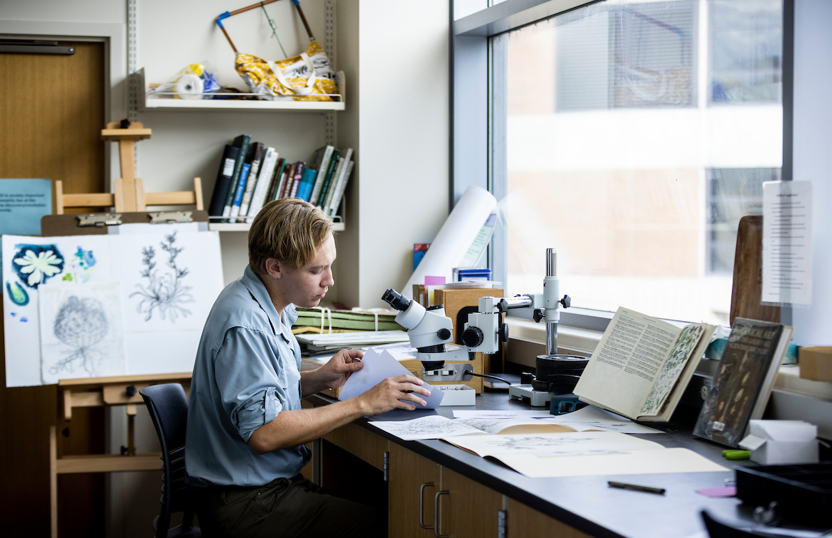 Image of a person sifting through papers at their desk