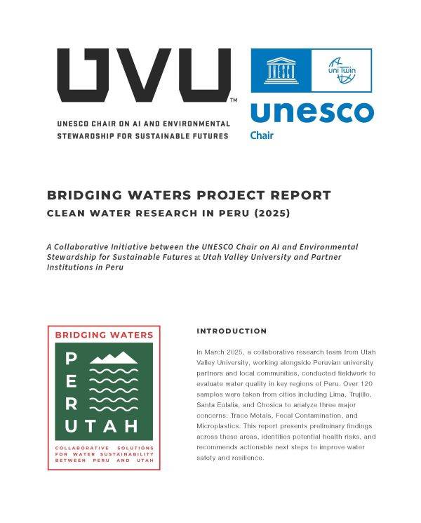 first page of the Bridging Waters report