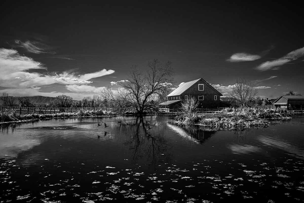 Artwork by Benjamin Lopez titled Reflections