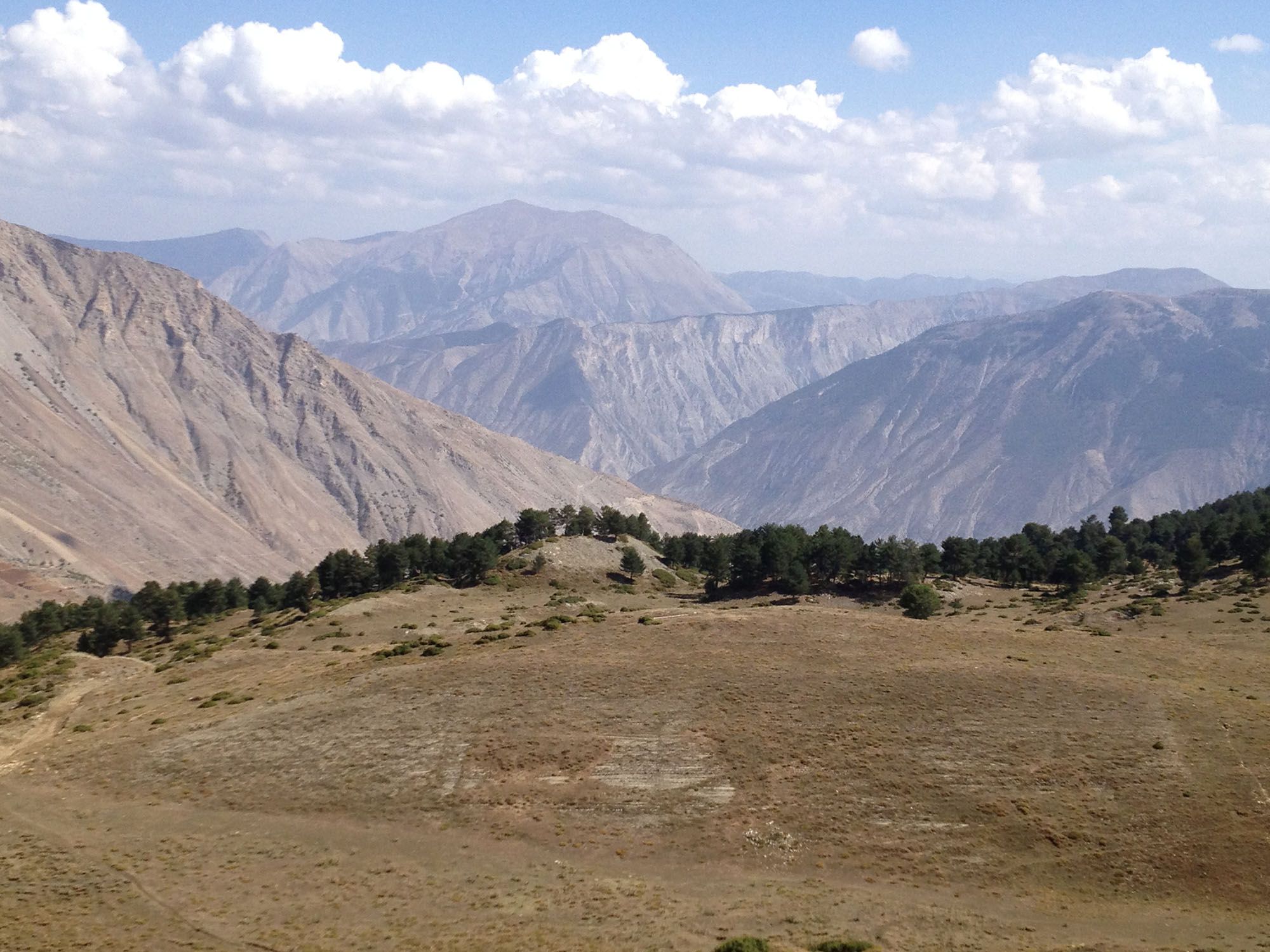 view