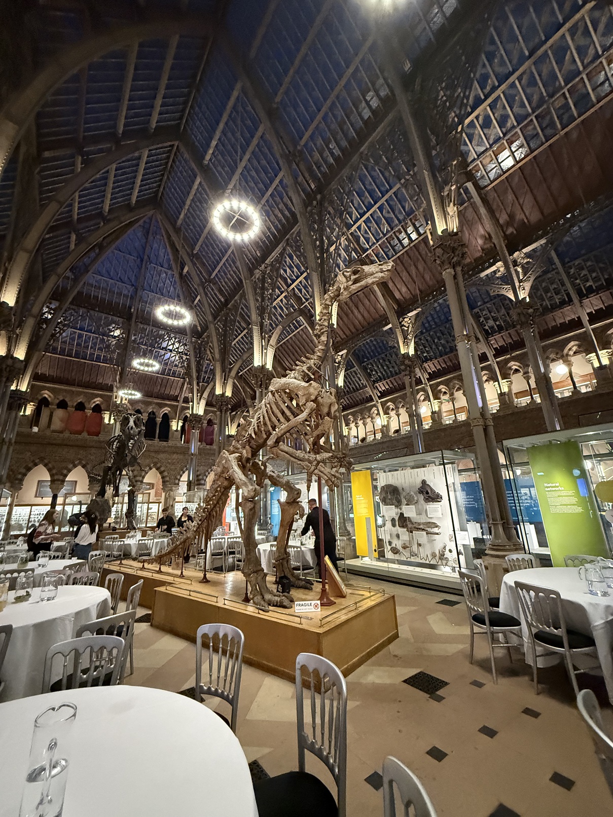 Last dinner at the Oxford University Museum of Natural History.