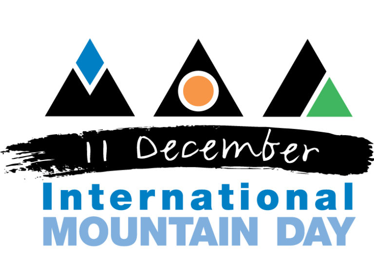 Logo for the International Mountain Day