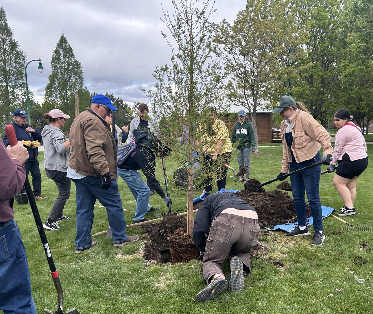 Rotarians and UVU Rotarators Plant Tree