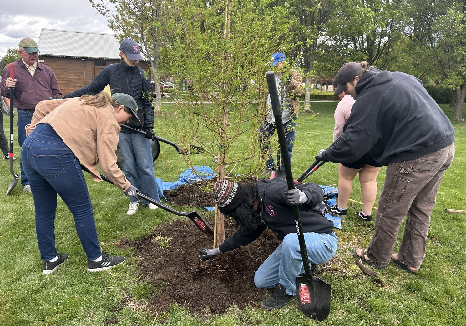 UVU Rotaractors Plant Tree