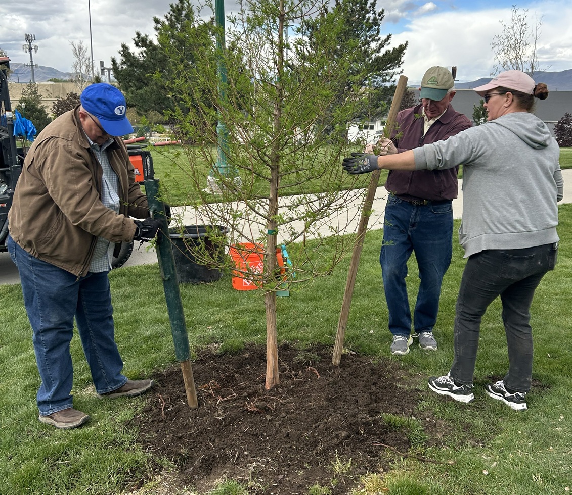 Orem-Lindon Rotary Club Members Plant Tree