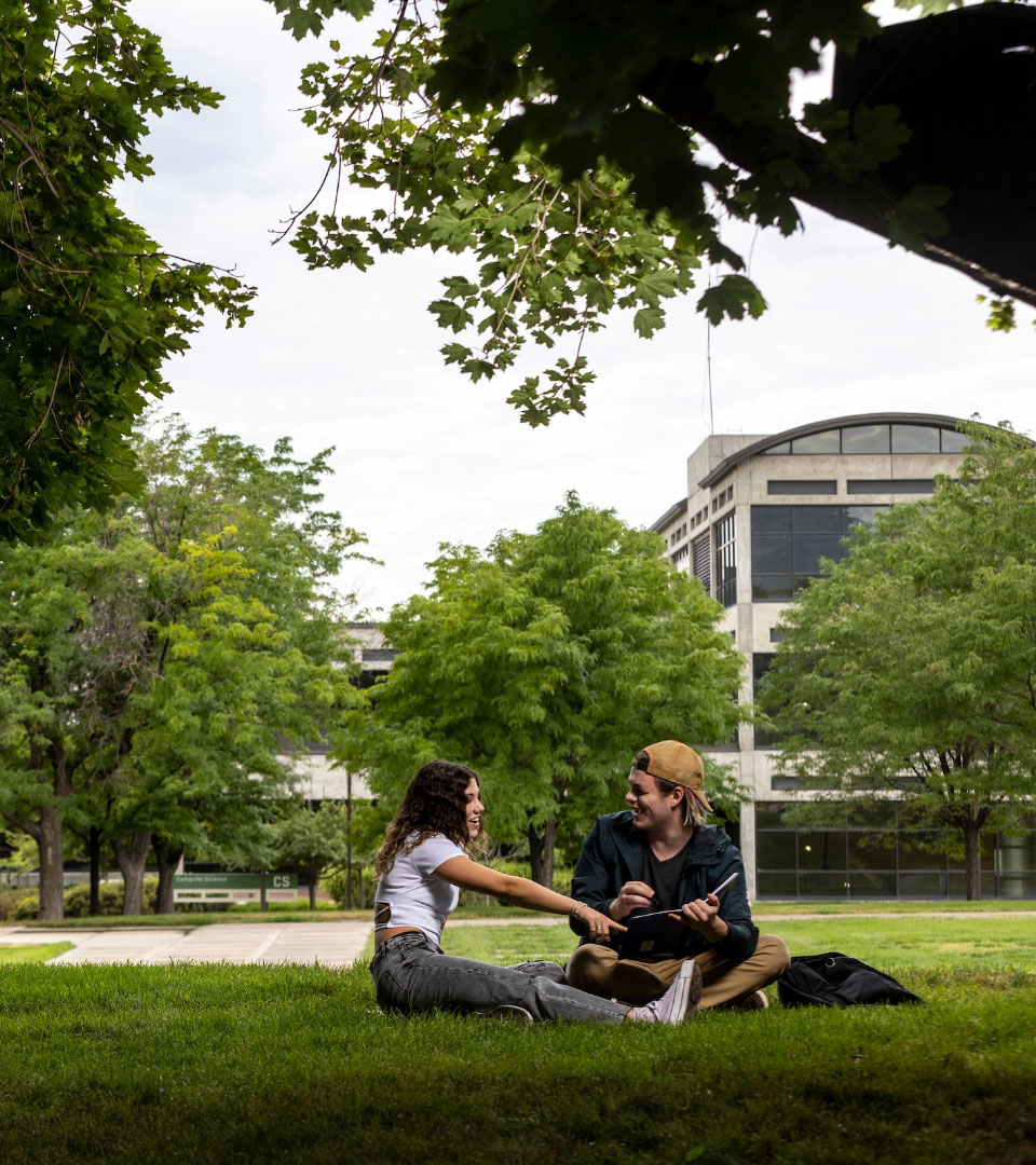 Students sitting on grass