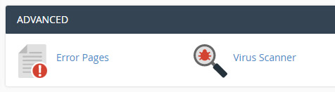 Advanced section of cPanel dashboard.