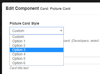 Screenshot showing drop-down list of style options.