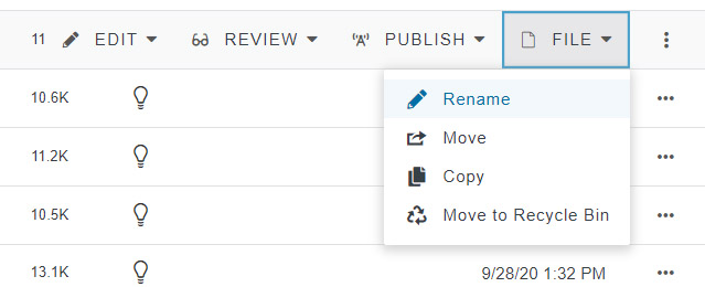 Screencapture showing option to rename a file in Omni CMS.