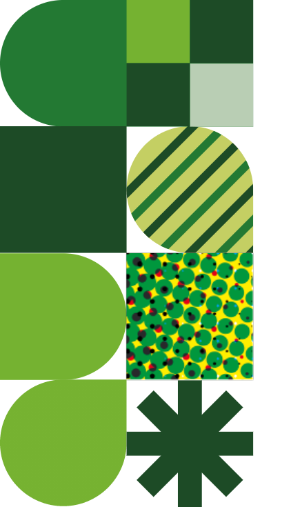 An assortment of shapes in no particular order.