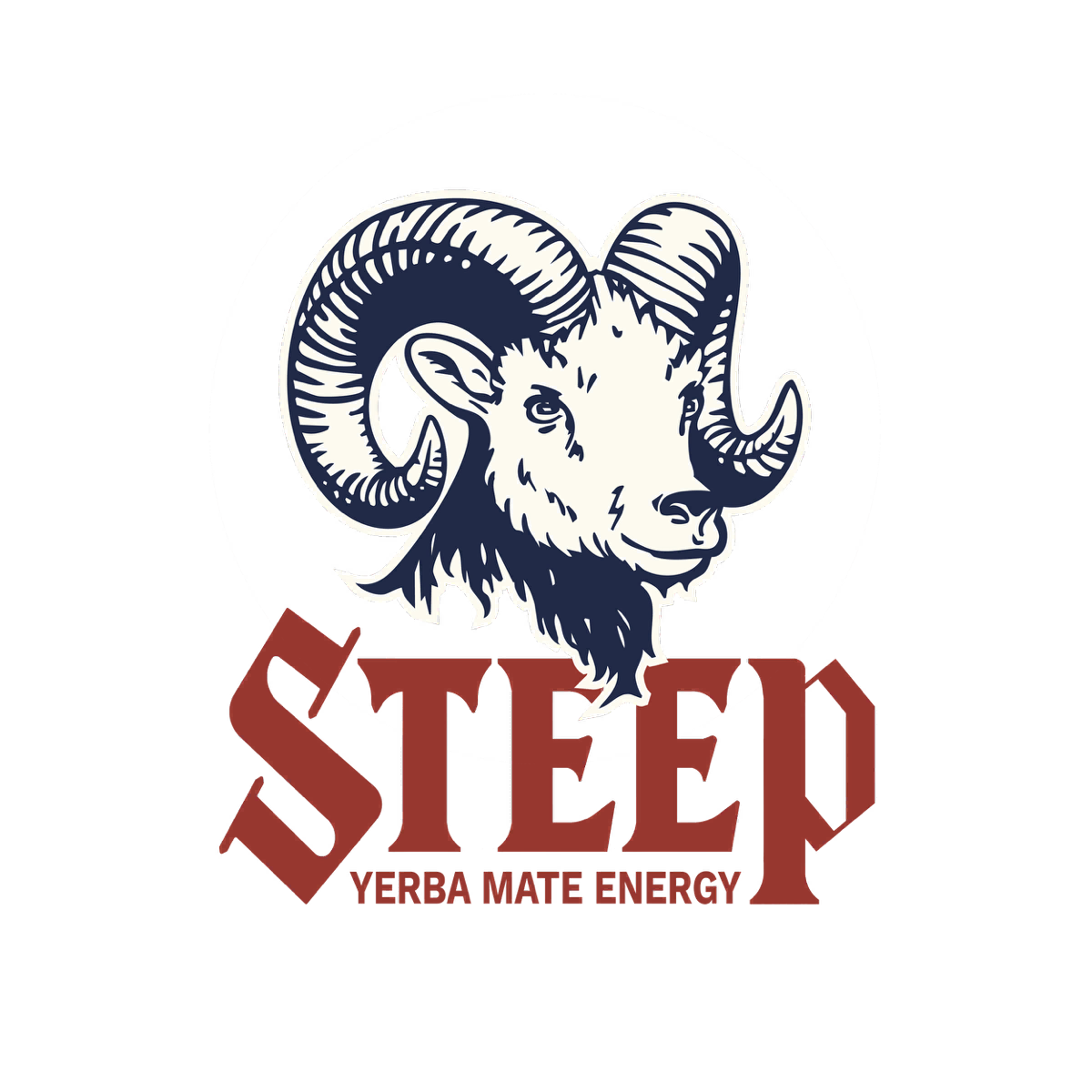 steeplogo